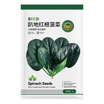 PWO Fresh Prostrate Red Rooted Spinach Seeds - $7.08