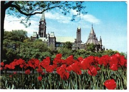 Ontario Postcard Ottawa Parliament Buildings Tulips Major Hill Park - £2.31 GBP