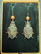 Real Lamprocyrphus Iridescent Green Jewel Beetle Elytra Dangle Drop Earr... - $180.30 CAD