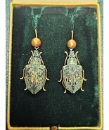 Real Lamprocyrphus Iridescent Green Jewel Beetle Elytra Dangle Drop Earr... - $180.30 CAD