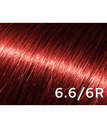 Colours By Gina - 6.6/6R Dark Reddish Blonde, 3 Oz. - £13.57 GBP