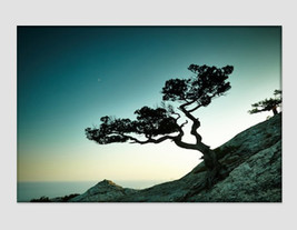 Crimea Landscape Tree and See Abstract Canvas Art Nature Wall Art Tree Poster Na - £39.16 GBP