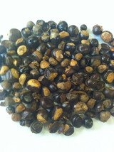 1 oz. Guarana Seed (Paullinia cupana) Wildharvested &amp; Kosher Brazil - £3.15 GBP