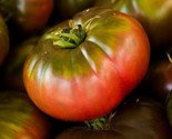 Cherokee Purple Tomato Seeds 20 Indeterminate Garden Vegetables Fast Shi... - $8.99