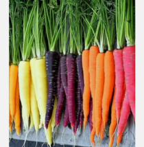 Easy To Grow Seed - 300 Rainbow Carrot Blend Mix, Seeds, Colorful, NON-GMO - £3.18 GBP