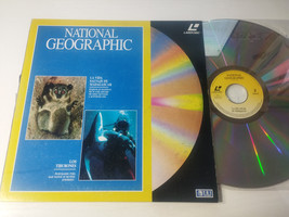 National Geographic La Vida Salvaje De Madagascar Los Tiburones - LASERD... - $521.75 MXN