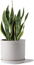 8-Inch Plant Pots: Ceramic Planter Pot With Saucer And Drainage Hole - F... - $57.93