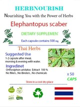 *Dokudami* (Houttuynia cordata): A Traditional Herb for Modern Wellness - $184.14 MXN