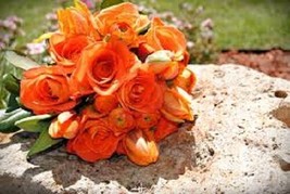 TH 20 Seeds Orange Lisianthus Flower Seeds / Long Lasting Annual - £11.78 GBP