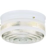 Westinghouse Lighting 6623800 Two-Light Flush-Mount Interior Ceiling Fix... - €47,44 EUR