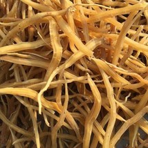 Yellow Golden Shatavari Satawar Roots Asparagus Indian Raw Whole Herbs FREE SHIP - £11.82 GBP+