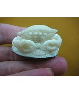 tb-crab-3) little white Crab TAGUA NUT palm figurine Bali detailed carvi... - £38.59 GBP