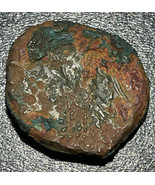 287-278 BC Grec Sicile Syracuse Hiketas AE 21mm 6.56g Zeus &amp; Aigle Monnaie - $33.66