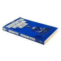 Herman Hesse Siddhartha 1971 Vintage Counterculture Classic Paperback Book image 3