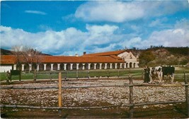 Chrome Postcard CA J217 Mission San Antonio Jolon King City Valley of the Oaks - £2.68 GBP