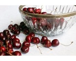10+ Sunburst Cherry Seeds – Sweet Large Fruit Cherry Tree - $16.50