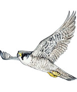 Peregrine Falcon Duck Hawk Flying Bird Vinyl Decal Sticker Auto Boat RV ... - $132.10 MXN+
