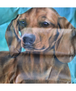 Dachshund Red Tote Foldable to Pouch Bag Shopper Beach Handbag  Purse Puppy - $14.84