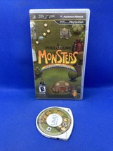 PixelJunk Monsters Deluxe (Sony PSP, 2010) No Manual - Case Damage - Tested! - $4.44