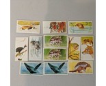 Like cigarette Tobacco cards Brooke Bond Tea Vanishing Wildlife 1978 Lot... - $9.89