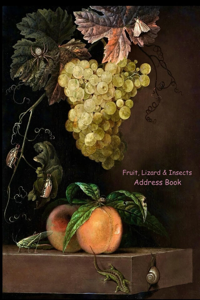 Fruit, Lizard and Insects: 6&quot; x 9&quot; Address Book Contacts, Phone #, Email... - $8.01