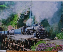 37&quot; X 44&quot; Panel Trains Railroad Steam in the Spring Cotton Fabric Panel D374.52 - £12.09 GBP