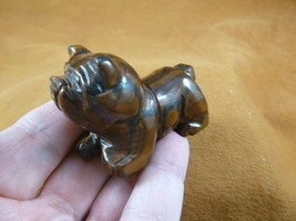 (Y-DOG-EB-713) Tiger&#39;s eye BULLDOG bull dog carving FIGURINE gem stone l... - £13.81 GBP