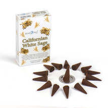 Californian White Sage cones - $3.50