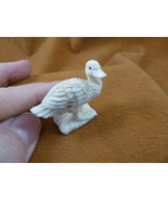 (DUCK-W5) little Duck duckling shed ANTLER figurine Bali detailed carvin... - £43.62 GBP