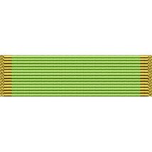 Military Service Sticker Women&#39;s Army Corps Service Medal Ribbon UV Deca... - $4.89