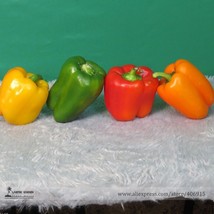 Mixed Yellow Green Red Orange Sweet Bell Pepper Organic Seeds Pack 50 Seeds / Pa - $5.36