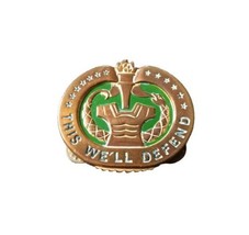 Original Vietnam Era US Army Drill Sergeant Instructor Insignia Pin Crest - £11.10 GBP