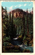Beauty Scene in Spearfish Canyon Black Hills South Dakota Vtg Postcard B4 - £4.40 GBP