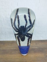 Underwater Real Spider Tarantula Gear Shift Knob Acrylic Resin_c98 - £93.09 GBP