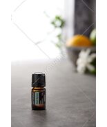 doTerra Black Spruce Essential Oil 5ml Exp 08/2027 NEW SEALED - $15.00