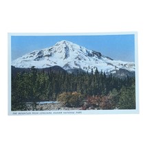 Longmire Mountain Rainier National Park Washington Color Litho Postcard C1925 - £6.76 GBP