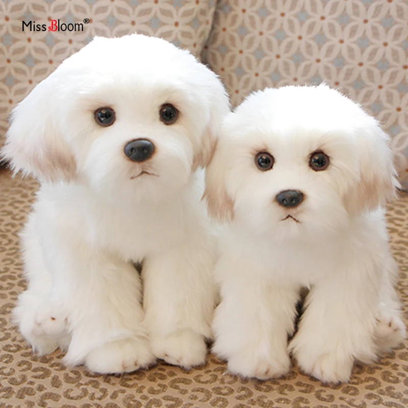Cute Maltese Plush Toy Puppy Stuffed Animal Dog Simulation Pets Fluffy Baby - £30.28 GBP+