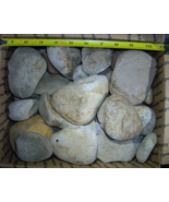 Box of smooth white river Rock Garden 25+ pounds Reedy Creek East Tennes... - $145.50