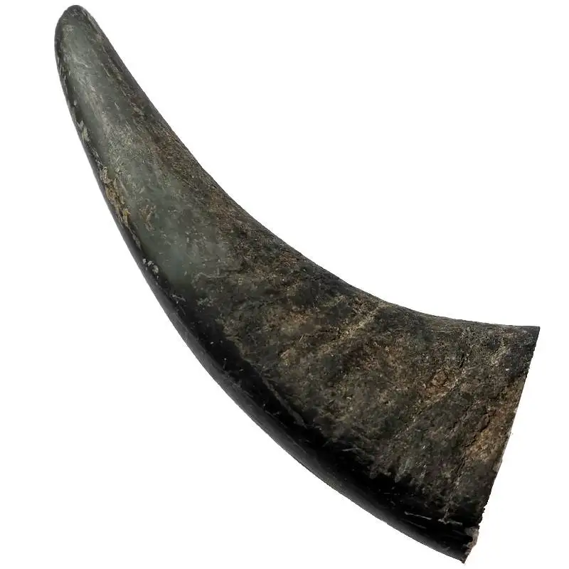 Natural Black Buffalo Horn Pointed Full Solid Raw Material DIY Handicrafts - £24.92 GBP+