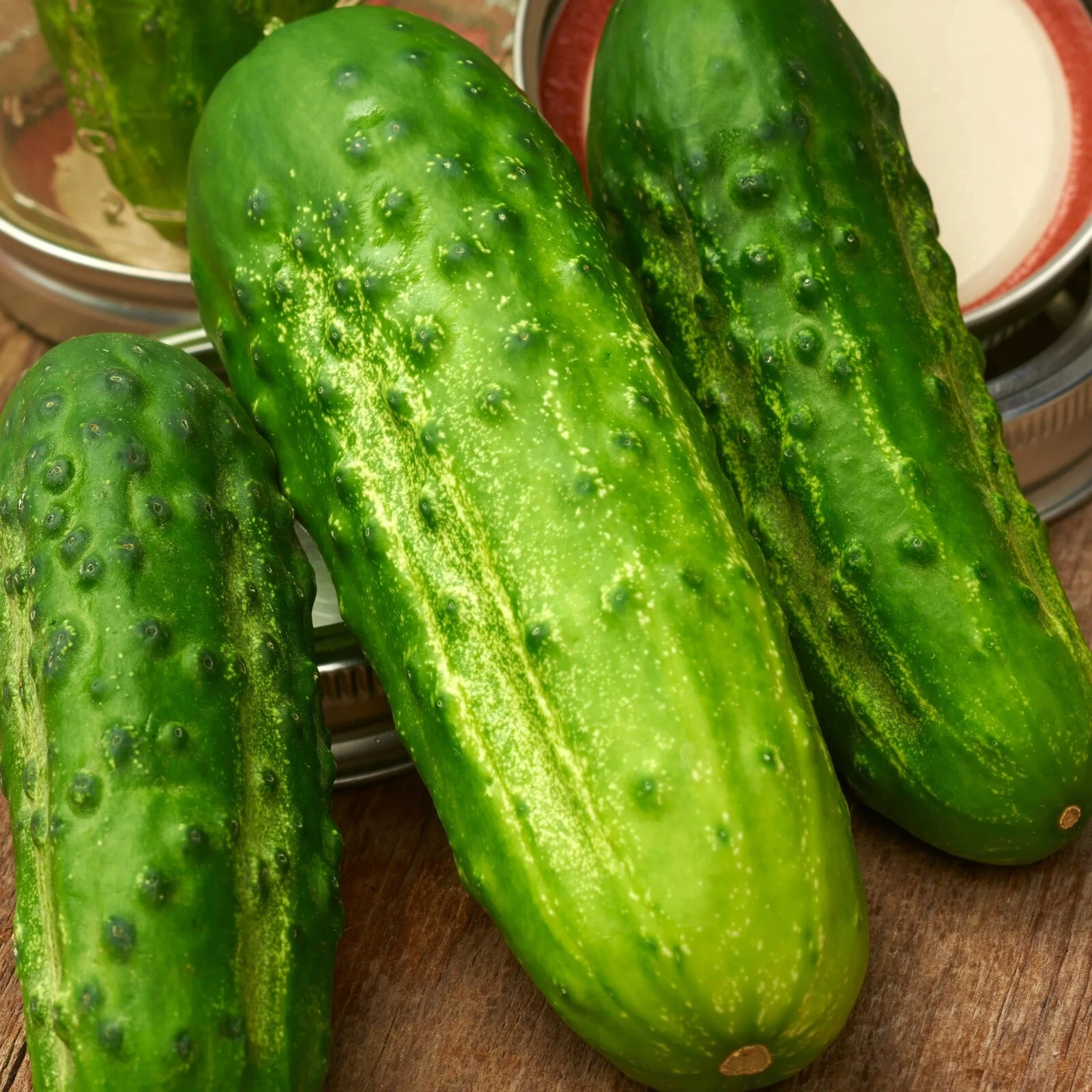 Boston Pickling Cucumber Seeds, NON-GMO, ORGANIC, HEIRLOOM -   - $4.26
