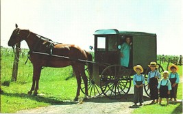 Vintage Postcard From the Amish Country Horse Buggy Pennsylvania Childre... - $5.99