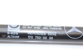 98-04 MERCEDES-BENZ SLK320 Trunk Lid Struts F1627 image 10