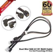 Dell PowerEdge R730xd 24 Bay Dual Mini SAS A1 B1 RAID Cable 8T05V (NOT F... - €43,15 EUR