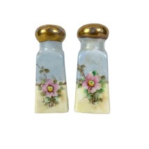 Antique Porcelain Salt &amp; Pepper Shakers Set 3.5&quot; Tall Gold Floral Design Bavaria - £20.14 GBP
