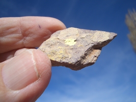 Item image 11
