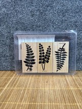 Stampin Up &quot;Definitely Decorative Ferns&quot; stamp set. Retired (2001) - £6.62 GBP