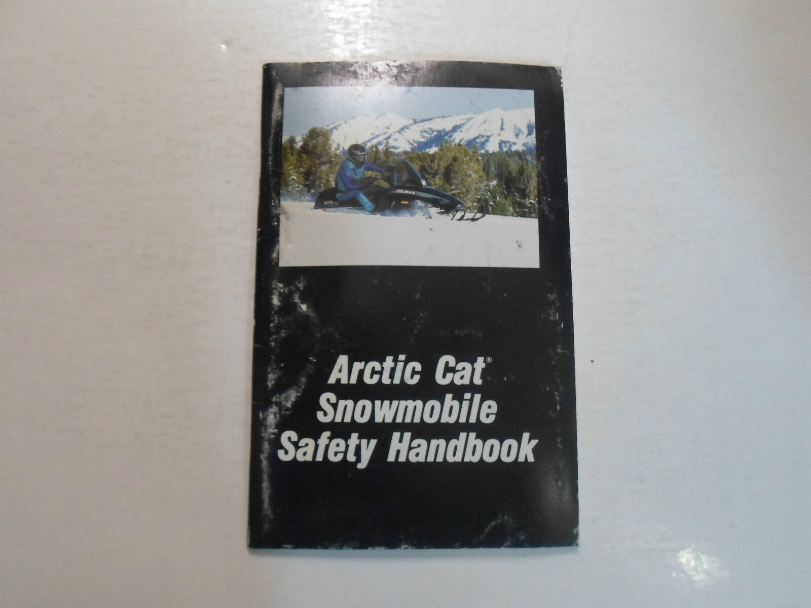 1993 Artico Gatto Motoslitta Sicurezza Manuale Fabbrica OEM Worn Affare - $7.96