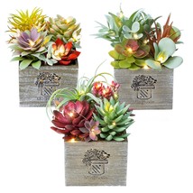 Succulents Plants Artificial In Pots, Small Fake Plants With Led String Light, M - £39.95 GBP