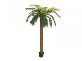 Europalms Phoenix Palm Deluxe, Artificial Plant, 300cm - £556.86 GBP