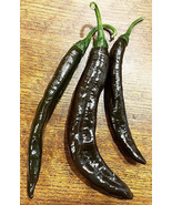 HSeeds 25 Seeds Chilaca Pepper Garden Vegetables Planting Edible Food - $7.14 CAD